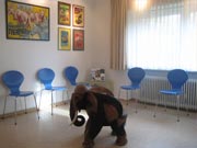 Tierarztpraxis Hagenbeck Wartezimmer